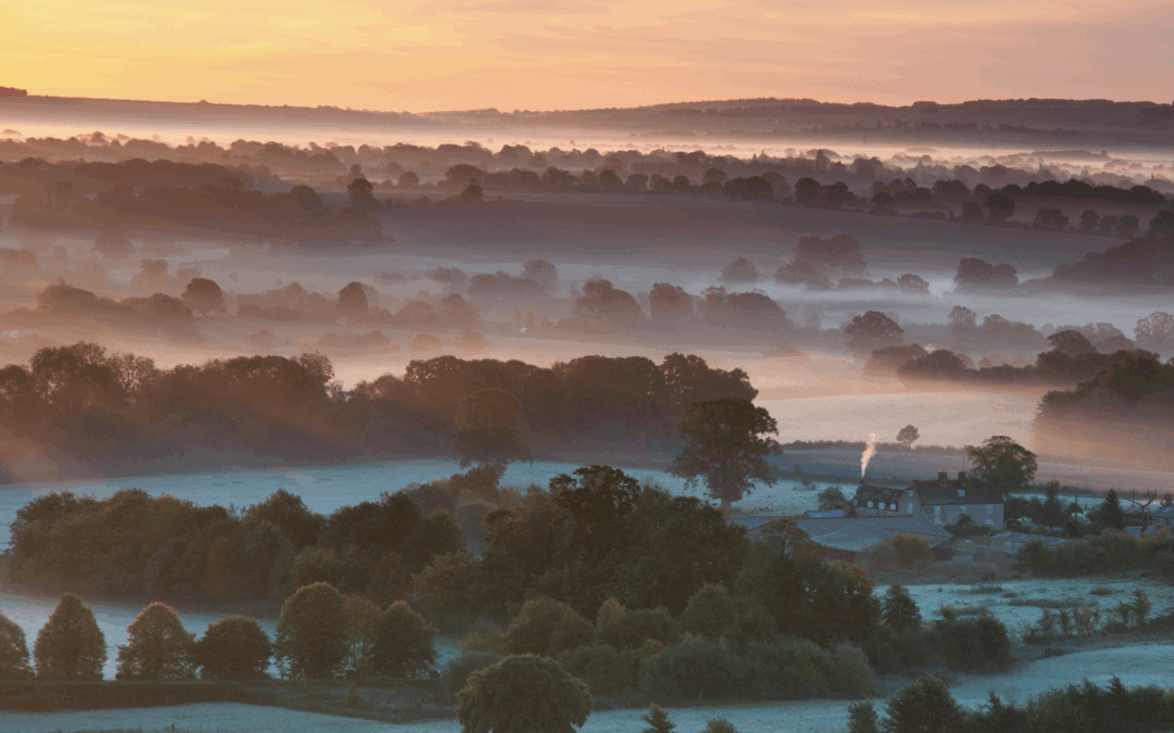 Four Suggestions for the Future of (Environmental) History