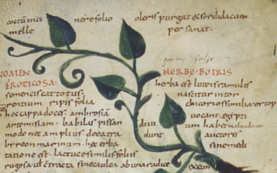 Making and Moving Consumables in early medieval Euorpe